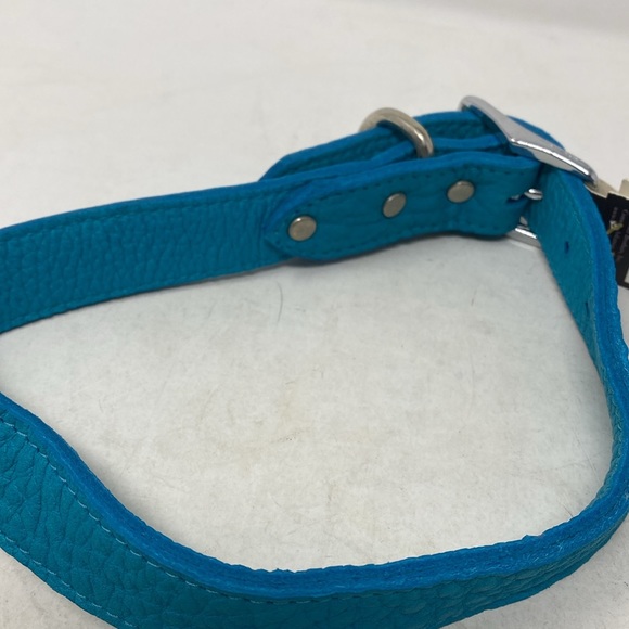 NWT Omni Pet Luxe Leather Teal Leather Dog Collar - made in USA - Picture 4 of 7